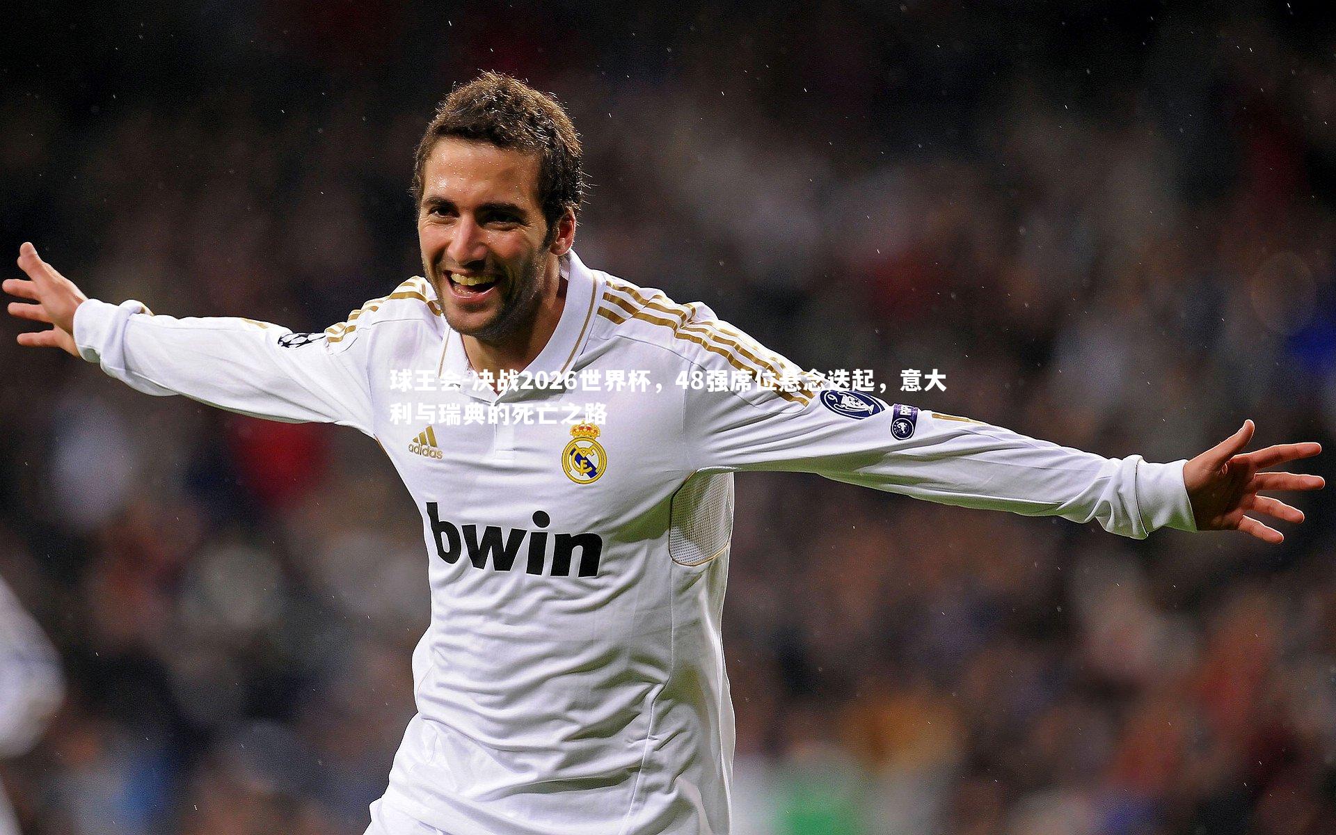 决战2026世界杯，48强席位悬念迭起，意大利与瑞典的死亡之路